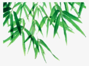 Bamboo Leaf Png Picture - Bamboo Leaves Transparent Background #2063477