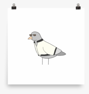 Drawn Turtle Dove Transparent - Puffin #2063528