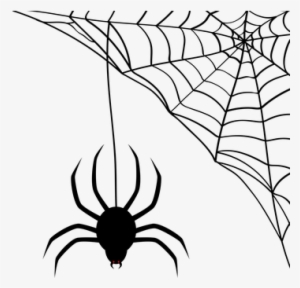 Spider Web Cobweb Halloween Silhouette Bla - Teia De Aranha Png #2064566