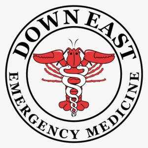 Website Are The Opinions Of The Website And Content #2065276