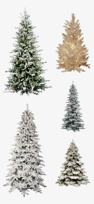 Misc Frosted Christmas Tree Pngs By Dbszabo1 - Vickerman 9' Frosted Dunhill Fir Artificial Christmas #2067026