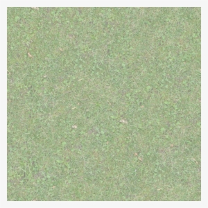 Grassbacktrans - Groundcover #2067776