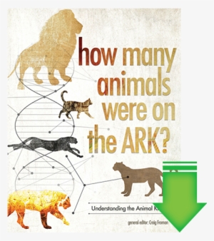 Animals Were On The Ark #2068043