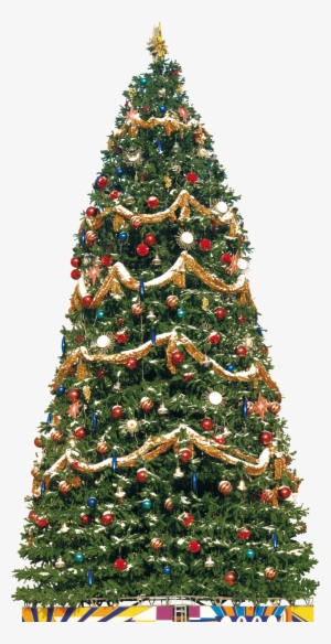 Christmas Tree Png #2068876