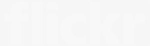 Flickr Logo - Flickr Logo White Vector #2070914