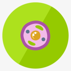 Lesson Icon - Animal Cell Icon Png #2072062