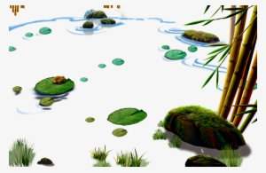 Lotus Pond - ภาพ การ์ตูน กบ เเ ละ ปลา อยู่ ใน สระ บัว #2075129