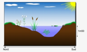 This Free Icons Png Design Of Mare Naturelle #2075228