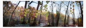 Barney's Pond #2075608