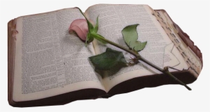 Biblia Png Sin Fondo - Garden Roses #2077530 Biblia Png Sin Fondo - Garden Roses #2077530