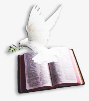 Archivo Del Blog < - Bible And Dove Png #2077534