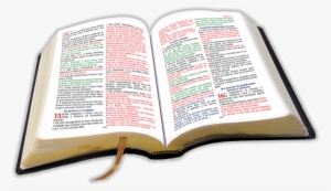 Biblia Abierrta - Biblia Abierta En Png #2077560 Biblia Abierrta - Biblia Abierta En Png #2077560