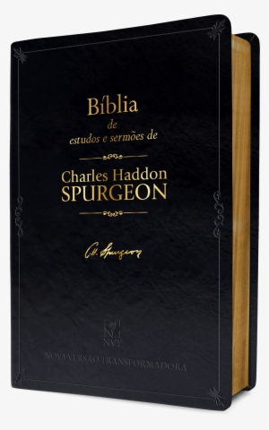 Zoom - Book Cover #2077801