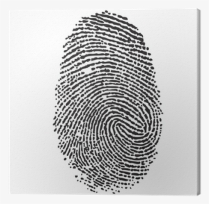 Fingerprint Icon #2080759