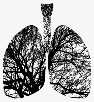 This Free Icons Png Design Of Lungs Branches #2084987