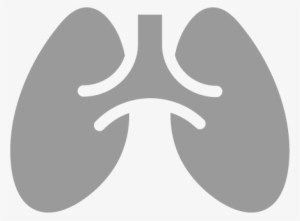 Clip Art Black And White Download Lung Vector Icon - Pulmonary Arterial Hypertension Icon Png #2085333