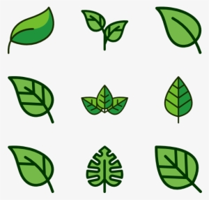 Leaf #2087229 Leaf #2087229
