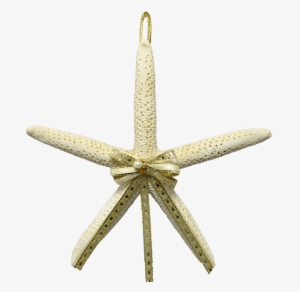 White Starfish Png Download - White Finger Starfish Christmas Holidays Ornament 4-5" #2088591
