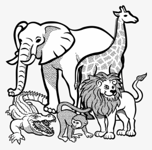 Jpg Black And White Download Africa Clipart Animal - Africa Safari Animals Coloring Sheets #2088761
