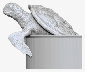 Turtle Face #2090967