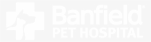 Banfield Is The Largest Privately Owned Veterinary - Banfield Pet Hospital White Logo #2094625