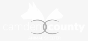 Satellite Adoption Centers - Fertilisation #2094734