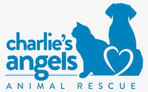Charlie's Angels Animal Rescue #2094736