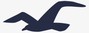 Hollister Logo - Hollister Logo Png #2094932