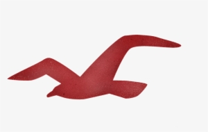 Hollister Brasil Hollister Brasil - Bird Logo T Shirt #2094956