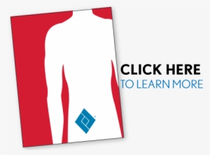 Contact Us - Hollister Co. #2095813