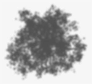 Tree Shadow Png - Tree #2098810