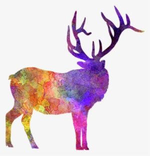 Click And Drag To Re-position The Image, If Desired - Deer #210201