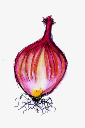Raster And Vector - Red Onion #210216