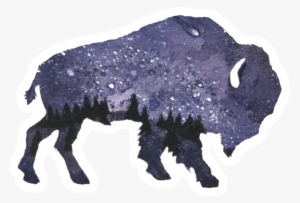 Chloe Jane Made Watercolor Illustration Designer Recommendations - Bison #210661