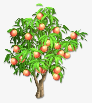 Peach Tree - Hay Day Peach Tree #210873
