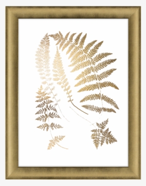 Gold Foil Ferns Ii #210900