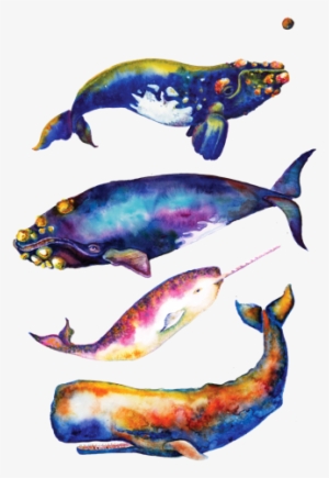 Watercolor Whales - #210925