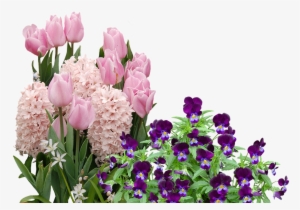 Easter Flower Png - Easter Flowers Png #211166