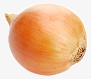 Single Onion - Transparent Transparent Background Onion #211215