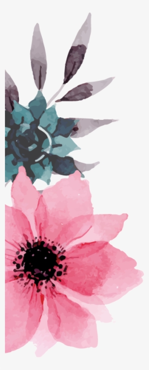 Collections - Poppy #211688