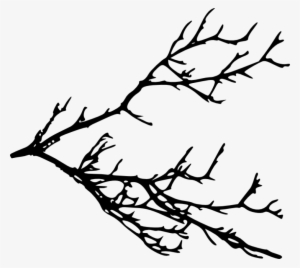 Free Png Tree Branches Silhouette Png Images Transparent - Tree Branches Silhouette Png #211912 Free Png Tree Branches Silhouette Png Images Transparent - Tree Branches Silhouette Png #211912