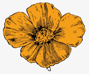 California Poppy Clip Art Free Vector - California Poppy Clip Art #211936