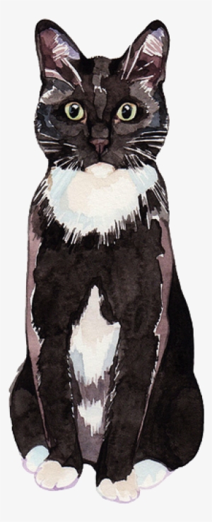 White, Cat And Wallpaper Image On We Heart It - Watercolor Black And White Cat #212216