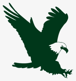 Swift Eagle Charitable Foundation - Green Eagle Logo Png #212646