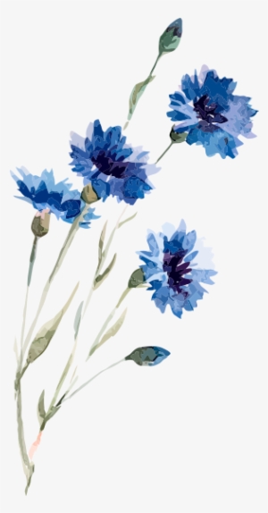 Flower Drawing PNG, Transparent Flower Drawing PNG Image Free Download ...