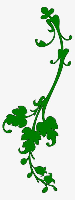Vine Png Clip - Transparent Background Vines Clipart #213048
