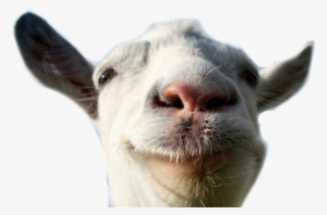 Funny Goat Png - Goat Simulator #213318