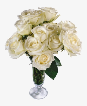 White Roses Png Free Download - Vase Flowers Transparent Background #213451