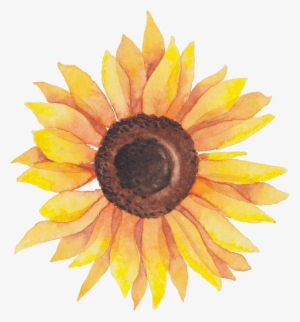 Svg Library Library Self Portraits Catherine Holmes - Watercolor Sunflower Transparent #213743