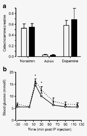 Norepinephrine), Adrenaline (adren, Epinephrine) And - Adrenaline #213915